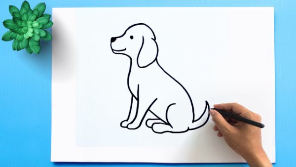 How To Draw A Dog Step by Step For Beginners