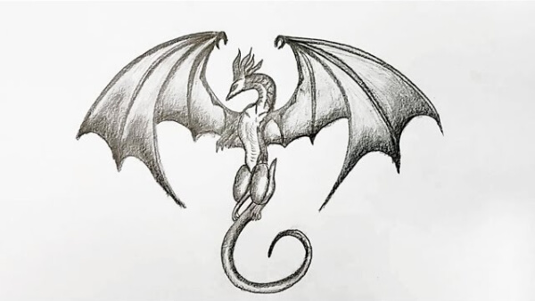 Dragon Drawing & Sketches For Kids How To Draw A Dragon Step By Step