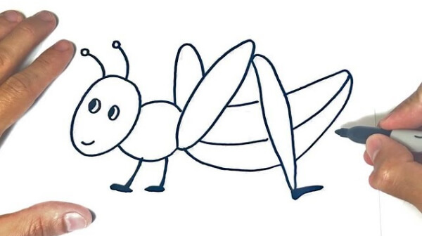 Grasshopper Drawing & Sketches For Kids How To Draw A Grasshopper