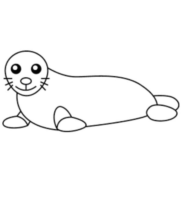 Seal Drawing & Sketches For Kids How To Draw A Seal