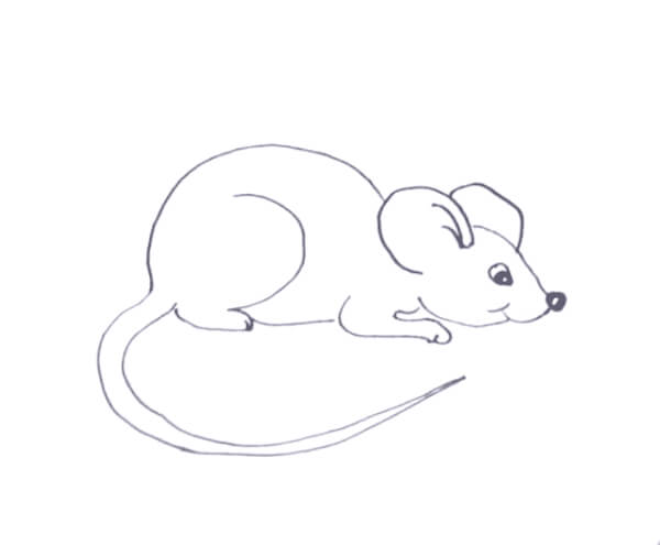 Mouse Drawing & Sketches For Kids How To Draw A Simple Mouse