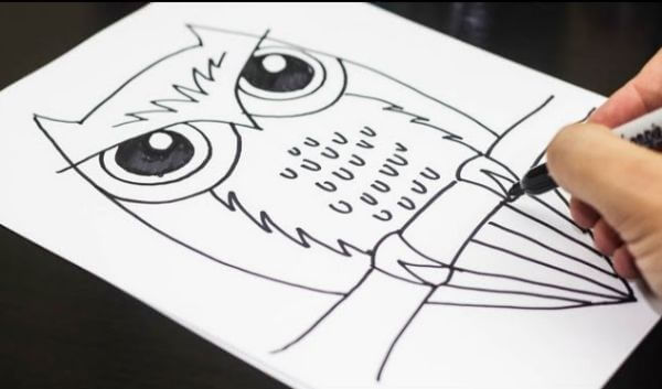 How To Draw An Owl Video