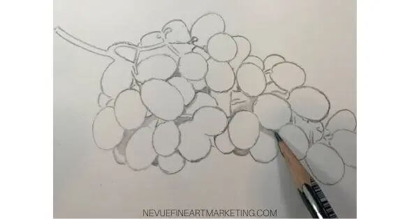 How To Draw Grapes From Pencil