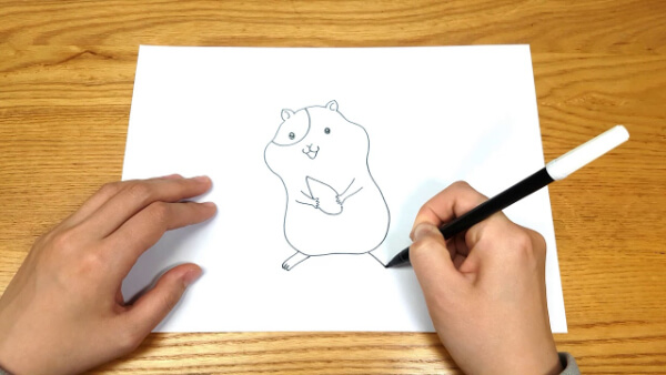 Hamster Drawing & Sketches For Kids How To Draw Cute Hamster