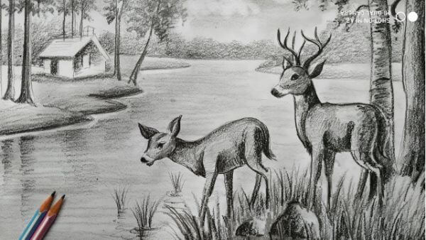 How To Draw Deer With Pencil Sketch Scenery