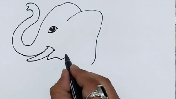 How To Draw Animal Elephant