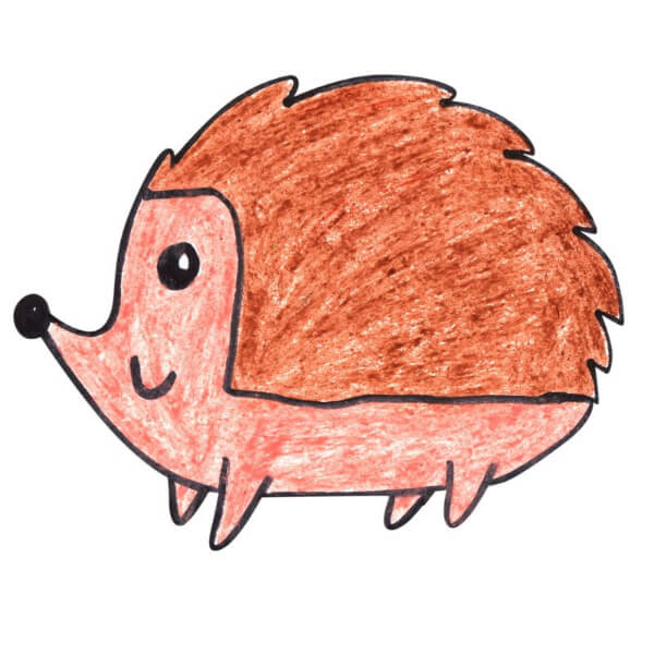 How To Draw & Color Hedgehog