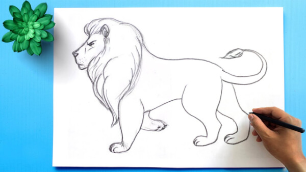 Lion Drawing & Sketches for Kids How To Draw Lion For Kids