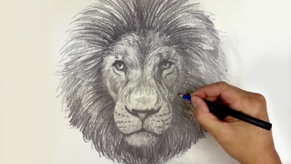 How To Draw Lion Face Sketch