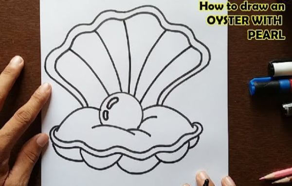 How To Draw Oyster With Pearl
