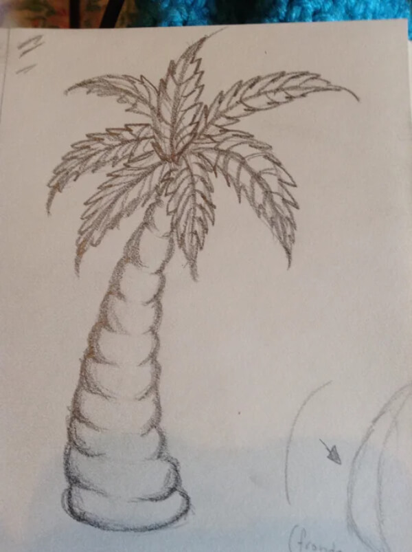 How to Draw Palm Tree