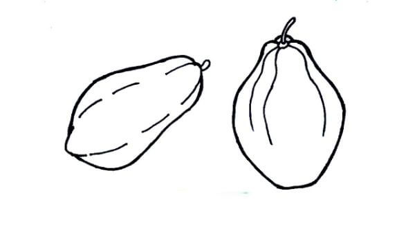 How To Draw Papaya Fruit Step By Step sketching for kids