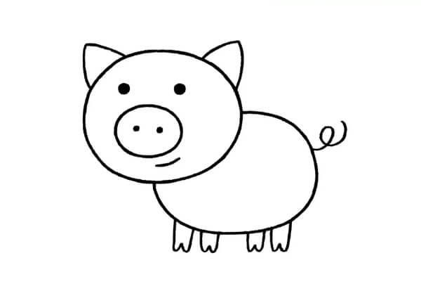 Pig Drawing & Sketches For Kids How To Draw Pig Step By Step