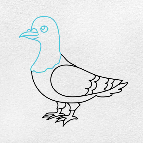 Pigeon Drawing & Sketches For Kids How To Draw Pigeon With Easy Steps