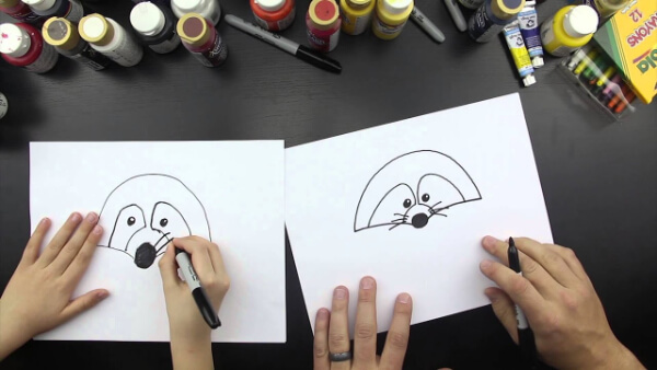 How To Draw Raccoon For Kids
