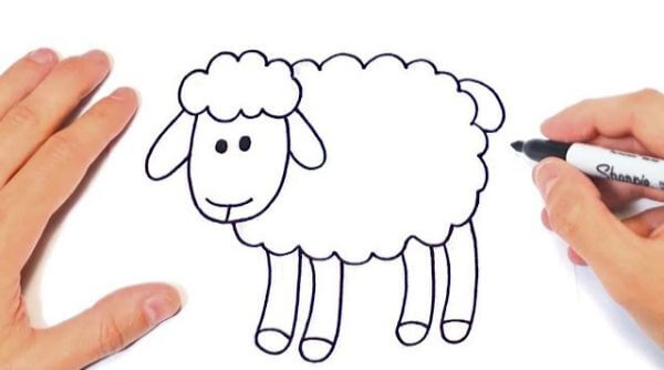 How To Draw Sheep Step by Step