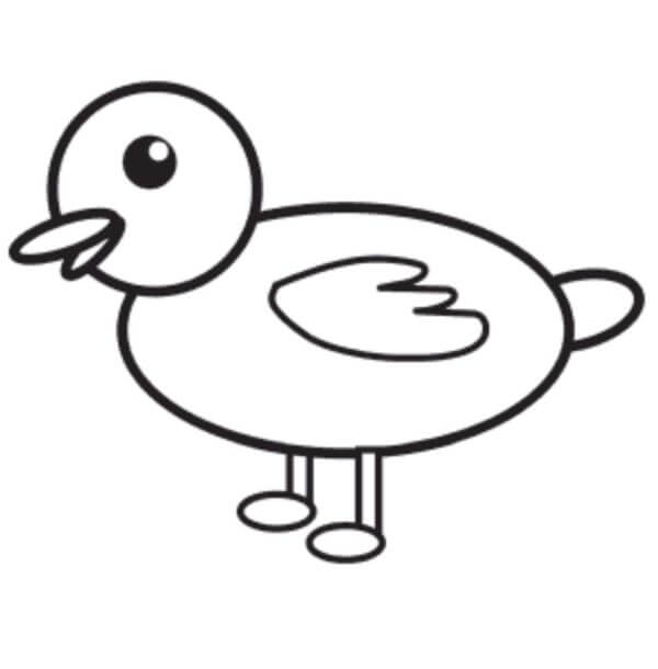 How To Draw A Baby Duck
