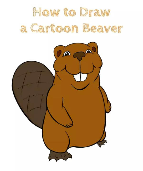 How To Draw & Sketch Cartoon Beaver For Kids