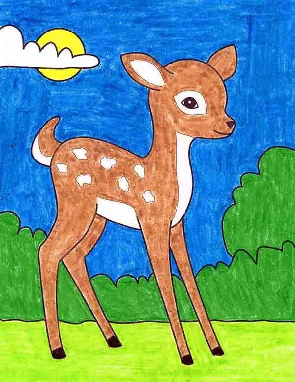 How To Draw & Sketch Deer For Kids- Deer Drawing & Sketches for Kids