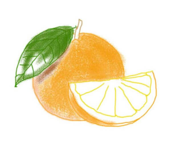 How To Draw Citrus Fruit Orange Drawing & Sketches for Kids