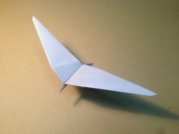 Common Gull Origami Bird Tutorial