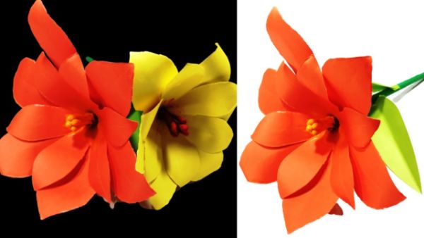 DIY Paper Origami Jasmine Flower Craft