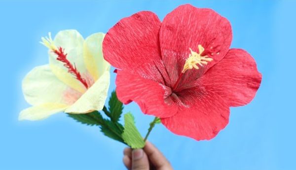 How To Make An Origami Hibiscus Flower Craft From Crepe Paper For Kids