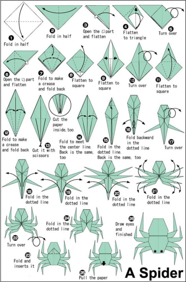 Origami Spider Paper  Craft Step By Step