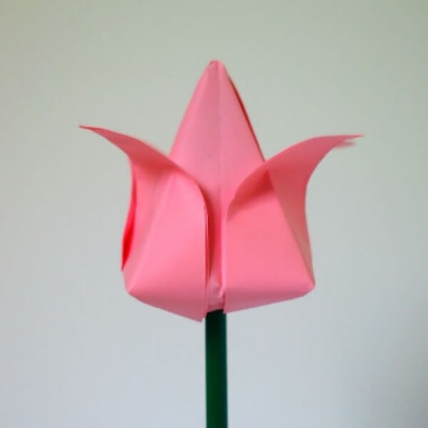 How To Make Origami Tulip Flower Tutorial