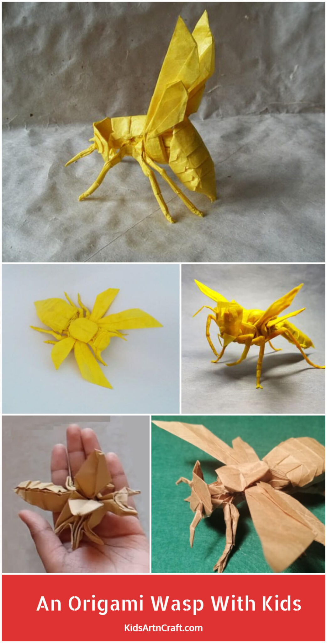 How To Make An Origami Wasp With Kids Kids Art & Craft