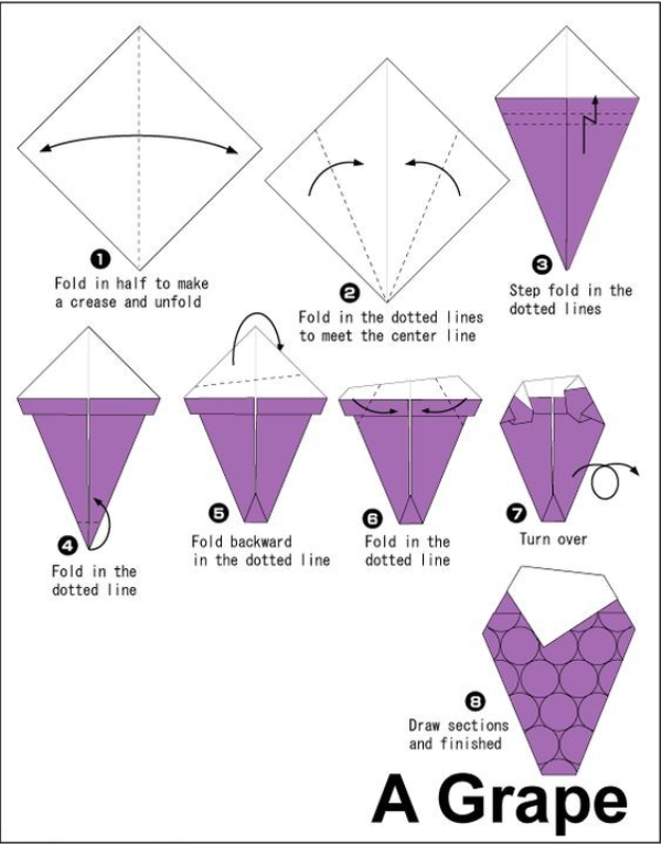 How To Make  Origami Grape Crafts For Kids