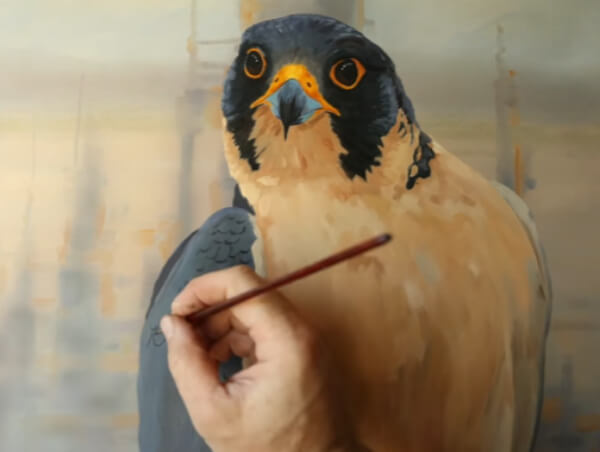Falcon Paintings For Kids How To Paint A Peregrine Falcon