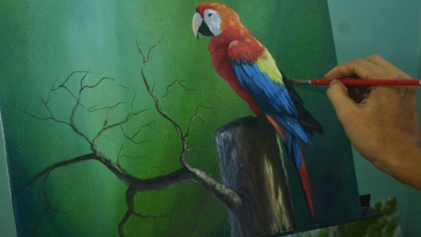 How To Paint A Realistic Parrot Tutorial For Kids