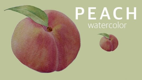 How To Paint Peach With Watercolor