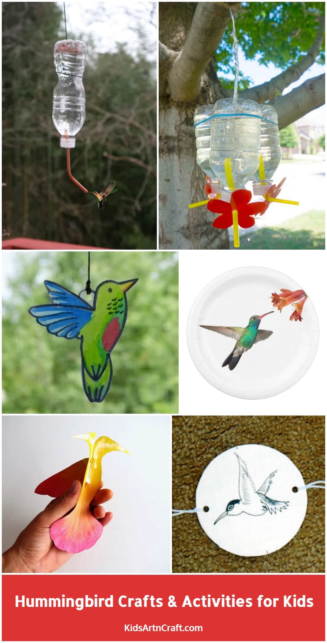 Hummingbird Crafts & Activities for Kids
