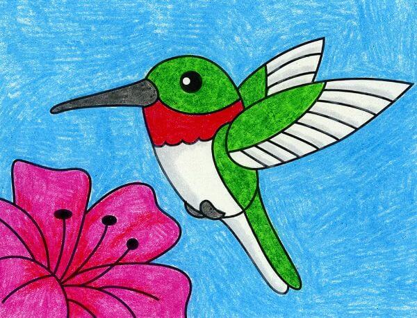 Hummingbird Drawing Ideas & Sketches For Kids