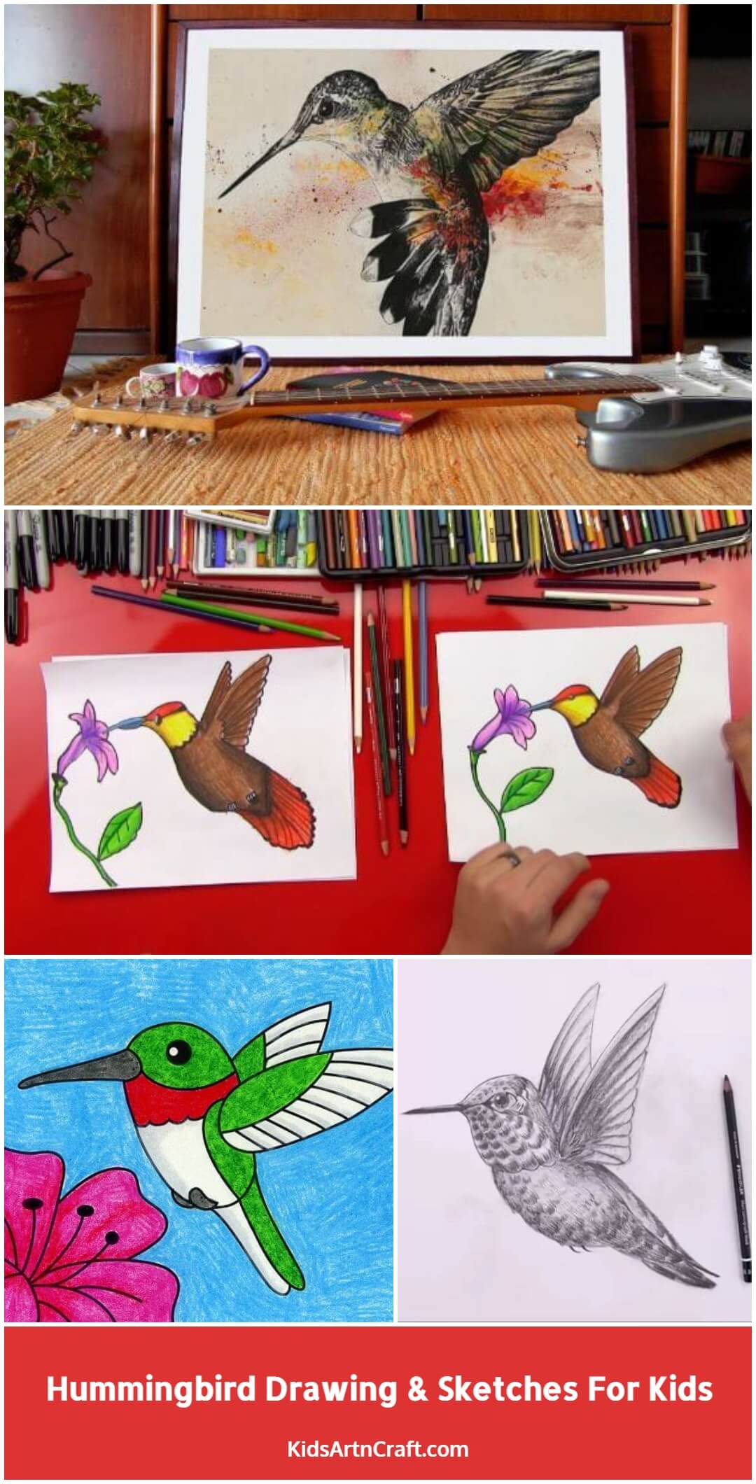 Hummingbird Drawing & Sketches For Kids
