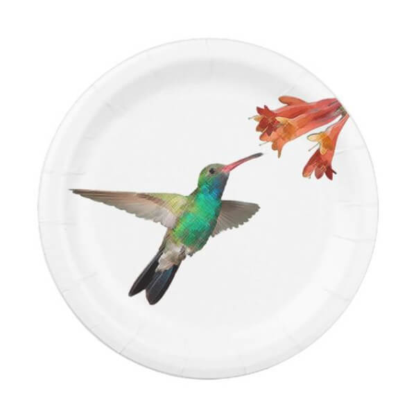 Hummingbird Flying Paper Plates Activity