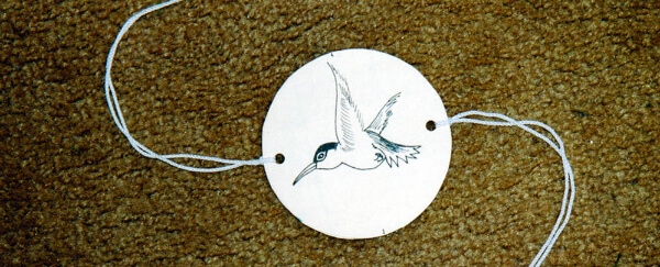 Hummingbird Spinner Crafts For Preschoolers Hummingbird Crafts & Activities for Kids