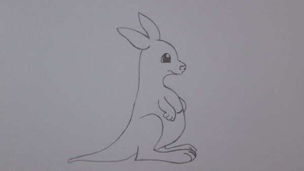 Kangaroo Drawing & Sketches For Kids How To Draw Baby Kangaroo