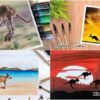 Kangaroo Paintings For Kids