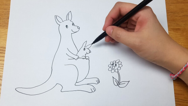 Kangaroo Drawing & Sketches For Kids How To Draw Kangaroo With Baby