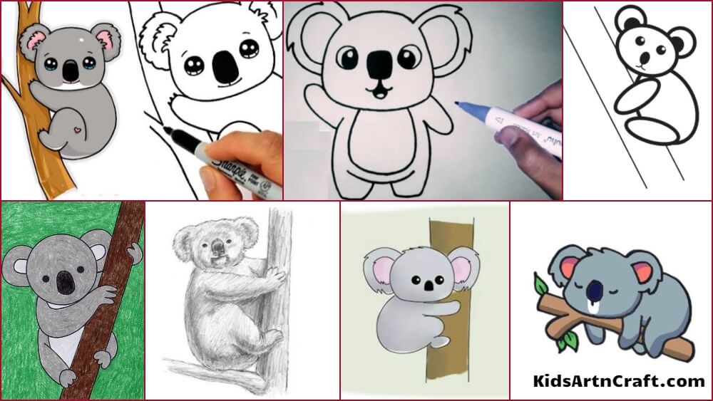 Koala Drawing & Sketches For Kids