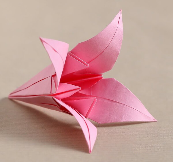 Lily Flower Origami For Kids