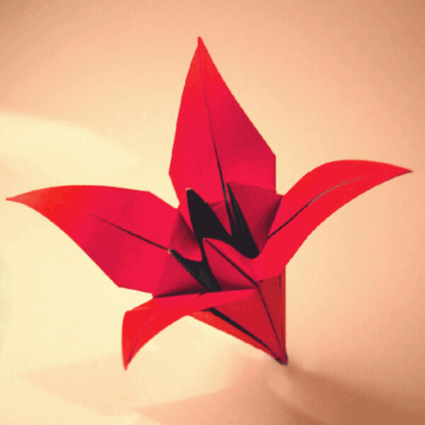 Lily Flower Origami With Instructions