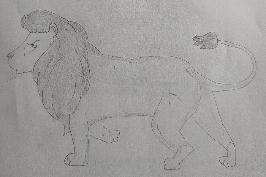 Lion Drawing & Sketches for Kids How To Draw Lion With Pencil