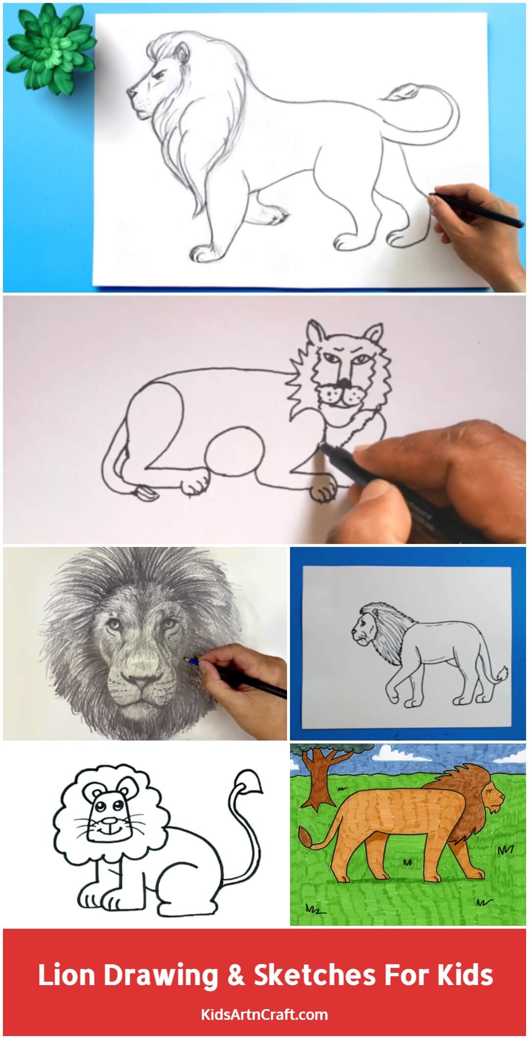 Lion Drawing & Sketches for Kids - Kids Art & Craft