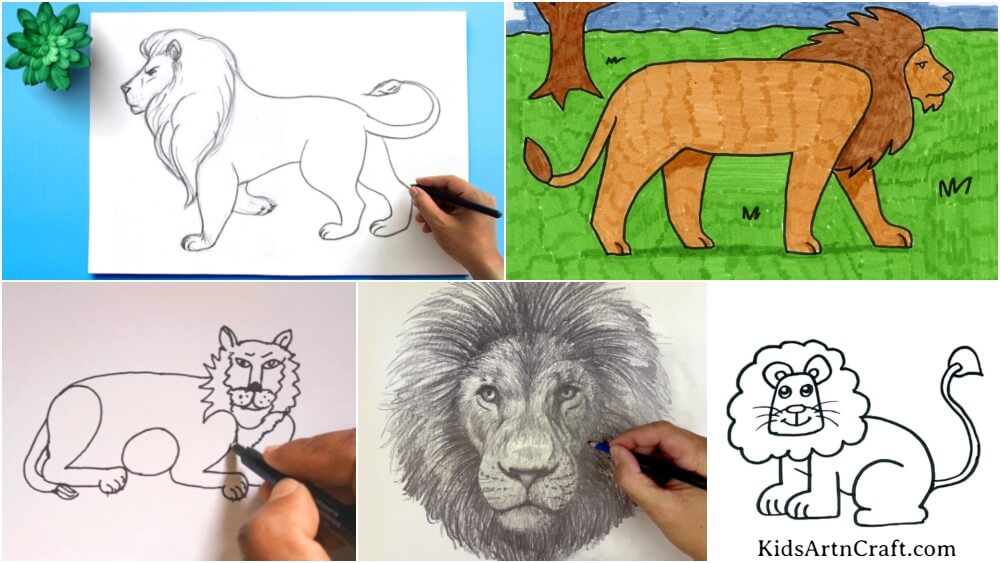 Lion Drawing & Sketches for Kids - Kids Art & Craft