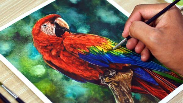 Macaw Parrot Painting With Watercolor