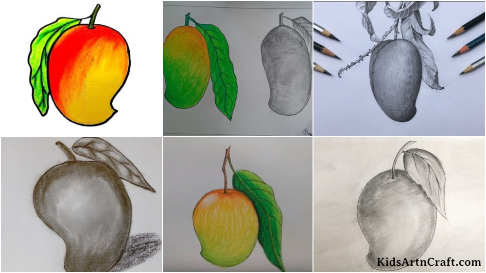 How to Draw a MANGO step by step | Step by step drawing, Drawings, Drawing  tutorial